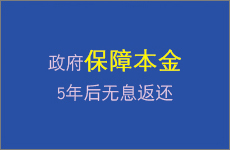 政府保障本金5年后无息返还