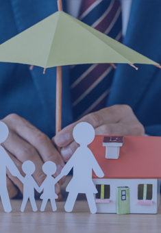 PACIFIC PLUS | 太加海外