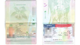 PACIFIC PLUS | 太加海外