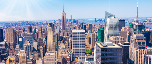 PACIFIC PLUS | 太加海外