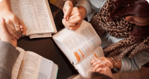 PACIFIC PLUS | 太加海外