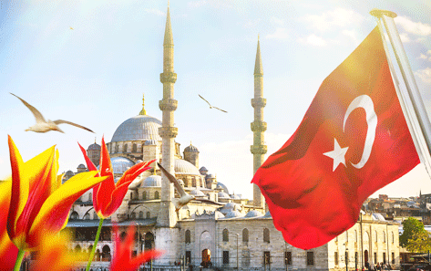 PACIFIC PLUS | 太加海外