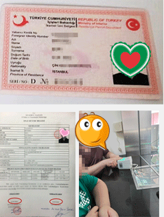 PACIFIC PLUS | 太加海外