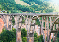 PACIFIC PLUS | 太加海外