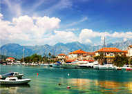 PACIFIC PLUS | 太加海外