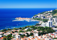 PACIFIC PLUS | 太加海外