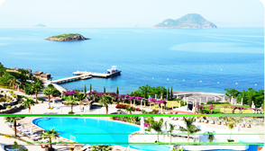 PACIFIC PLUS | 太加海外