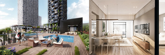 PACIFIC PLUS | 太加海外