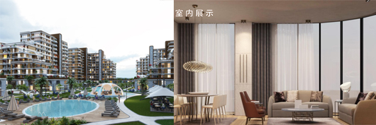 PACIFIC PLUS | 太加海外