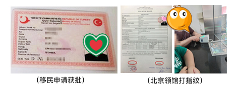 PACIFIC PLUS | 太加海外