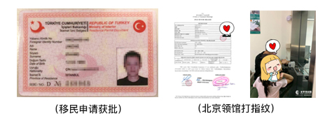 PACIFIC PLUS | 太加海外